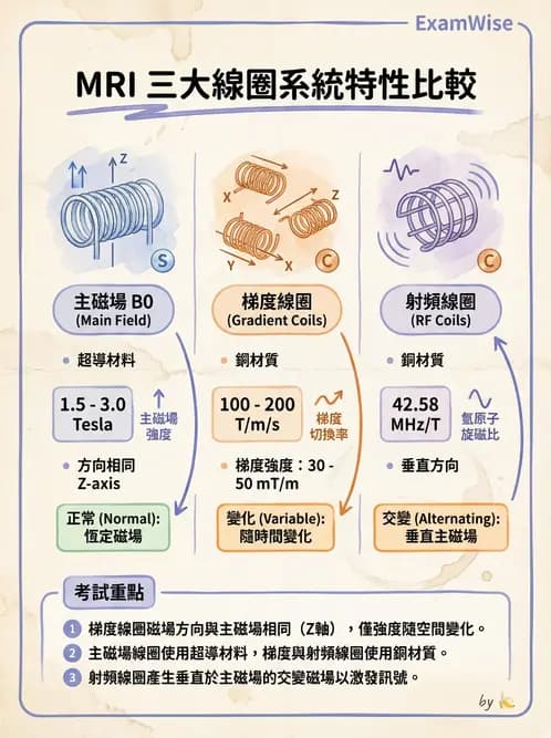放射 - 梯度線圈與空間編碼 - AI 圖文解析預覽