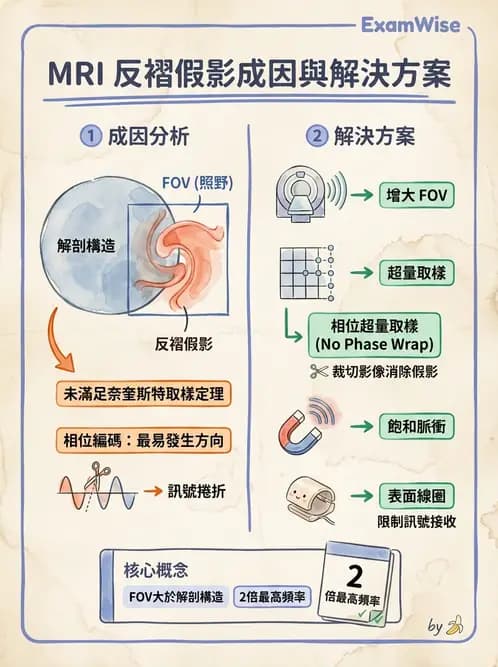 放射 - 梯度線圈與空間編碼 - AI 圖文解析預覽