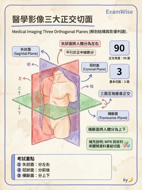 放射 - SPECT掃描參數、設備、衰減校正與QA - AI 圖文解析預覽