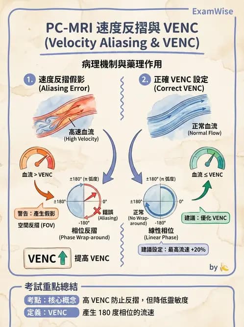 放射 - MR進階影像與臨床應用 - AI 圖文解析預覽