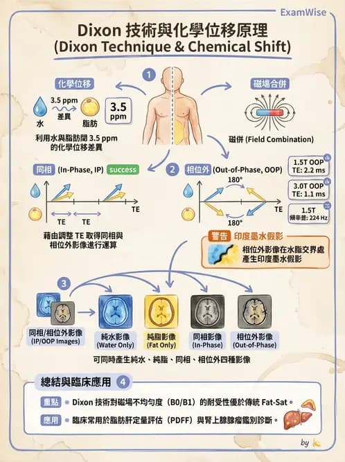 放射 - MRI脈衝序列與訊號技術 - AI 圖文解析預覽