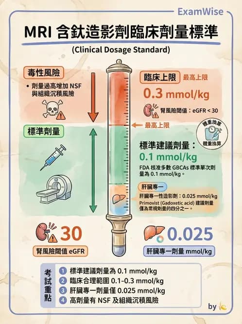 放射 - MRI安全與顯影劑 - AI 圖文解析預覽