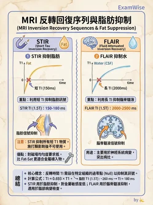 放射 - MRI脈衝序列與訊號技術 - AI 圖文解析預覽