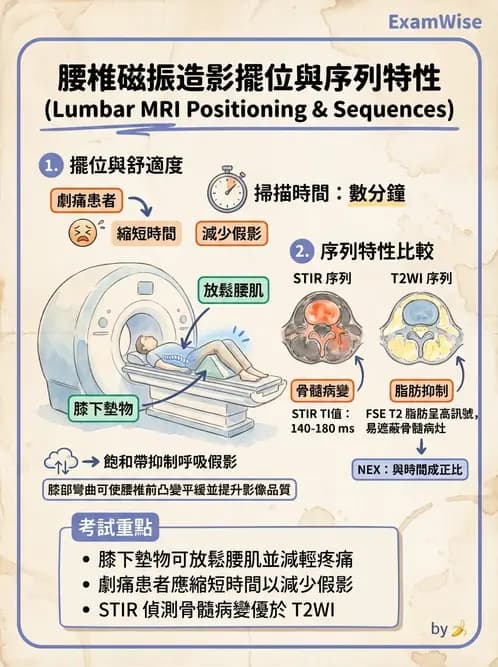 放射 - MR進階影像與臨床應用 - AI 圖文解析預覽