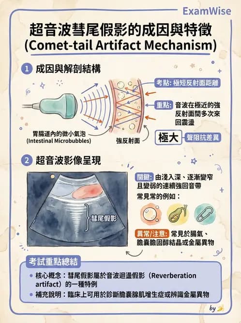放射 - 超音波物理與技術 - AI 圖文解析預覽