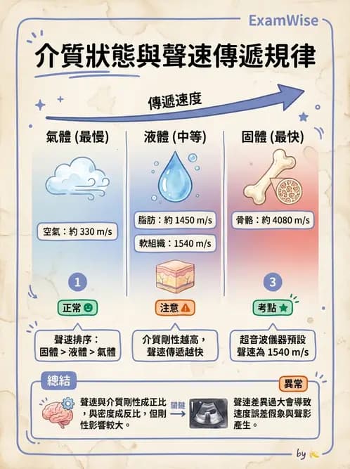 放射 - 超音波物理與技術 - AI 圖文解析預覽