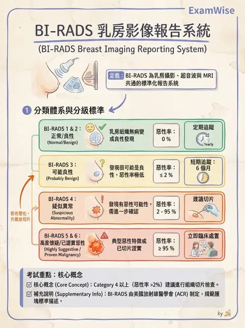 放射 - 乳房攝影與其他特殊檢查 - AI 圖文解析預覽