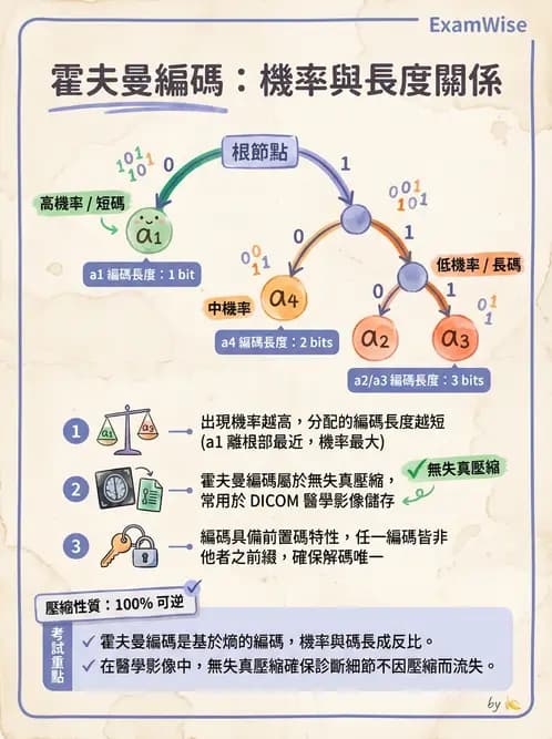 放射 - 數位影像原理與處理技術 - AI 圖文解析預覽