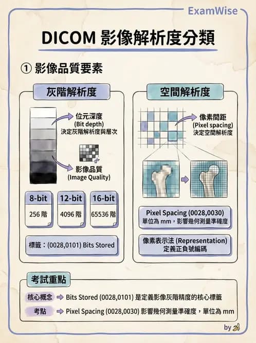 放射 - PACS、DICOM與遠距醫學 - AI 圖文解析預覽