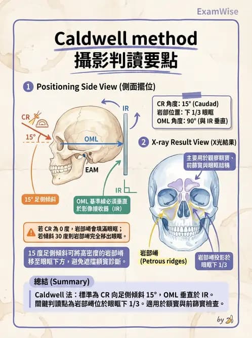 放射 - 頭頸脊椎攝影技術 - AI 圖文解析預覽