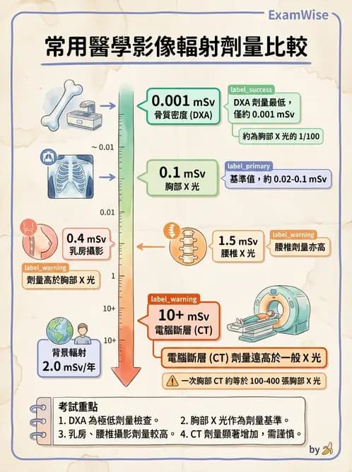 放射 - 輻射安全 - AI 圖文解析預覽