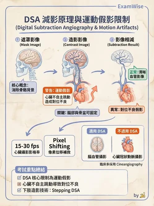 放射 - 血管攝影原理與解剖 - AI 圖文解析預覽