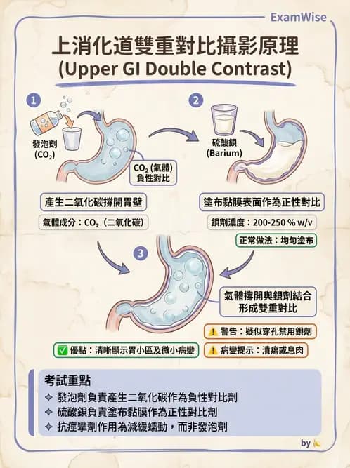 放射 - 消化道造影 - AI 圖文解析預覽