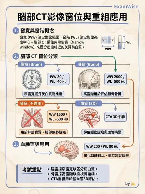 放射 - 頭頸部CT診斷 - AI 圖文解析預覽
