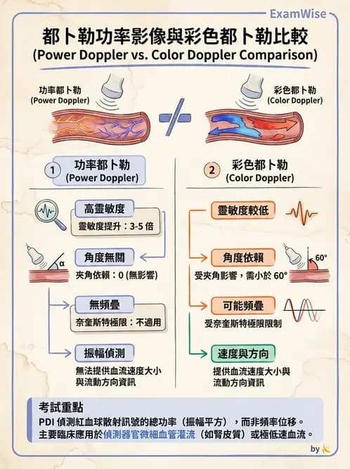 放射 - 超音波物理與技術 - AI 圖文解析預覽
