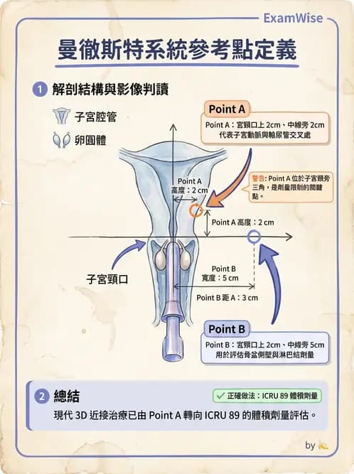 放射 - 腔內近接治療 - AI 圖文解析預覽