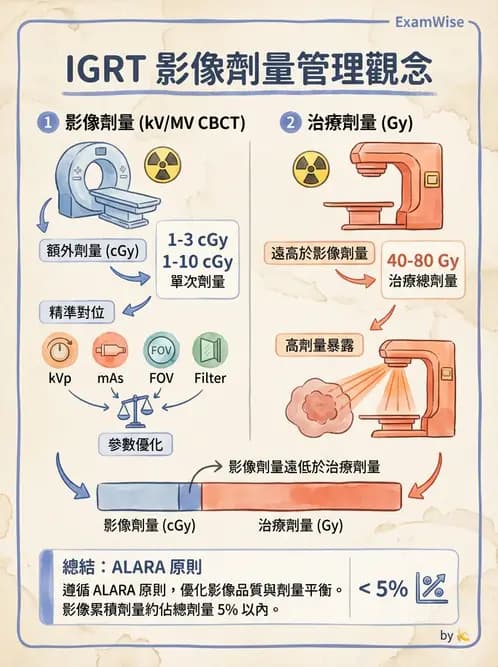 放射 - 臨床放射治療品保 - AI 圖文解析預覽