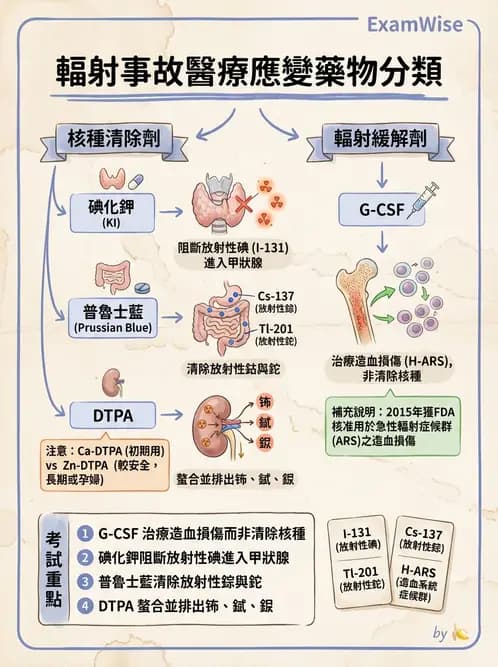 放射 - 放射治療輻射防護 - AI 圖文解析預覽