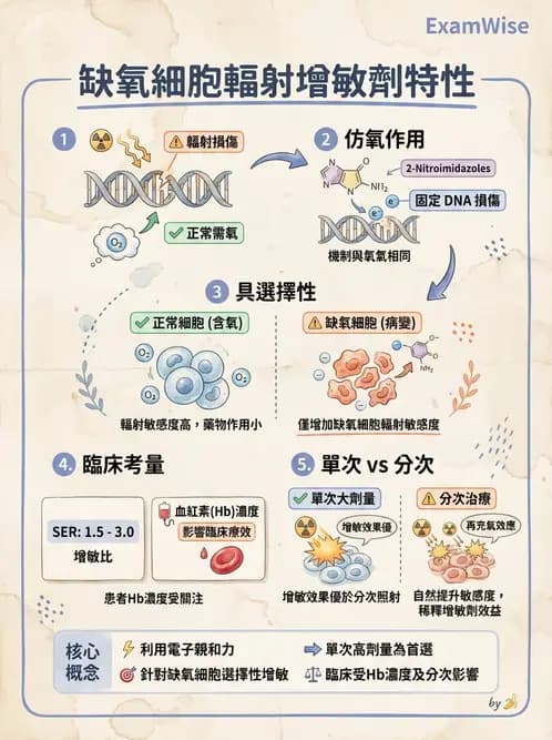 放射 - 輻射增敏與保護 - AI 圖文解析預覽