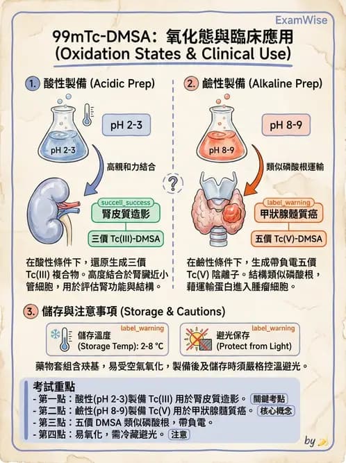 放射 - 腎臟造影SPECT藥物 - AI 圖文解析預覽