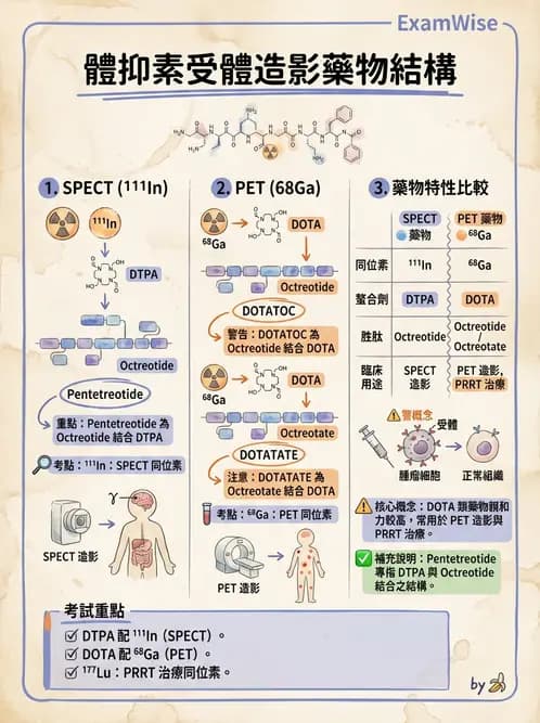 放射 - 腫瘤與內分泌造影SPECT藥物 - AI 圖文解析預覽