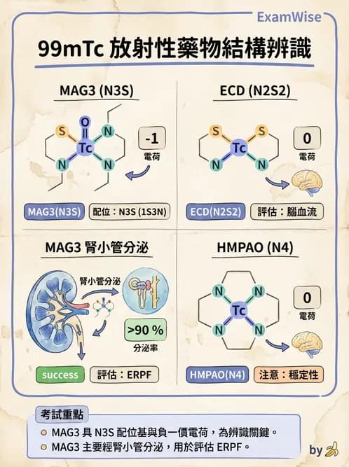 放射 - 肺肝膽與製劑通則 - AI 圖文解析預覽
