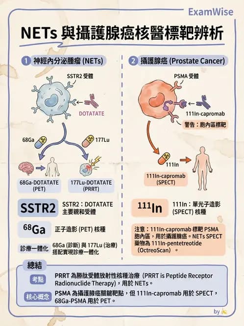 放射 - 核醫藥物 - AI 圖文解析預覽