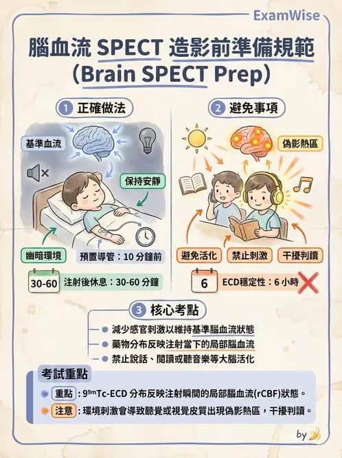 放射 - 腦部造影 - AI 圖文解析預覽