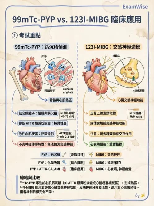 放射 - 心室功能造影 - AI 圖文解析預覽