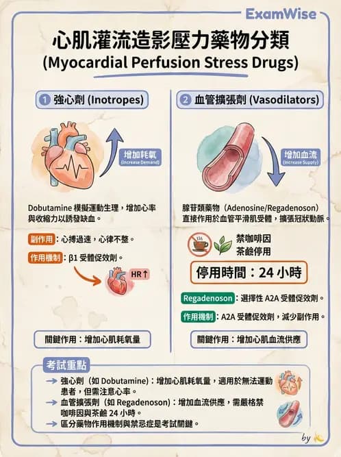 放射 - 心臟灌注造影 - AI 圖文解析預覽