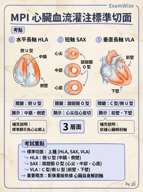 放射 - 心臟灌注造影 - AI 圖文解析預覽