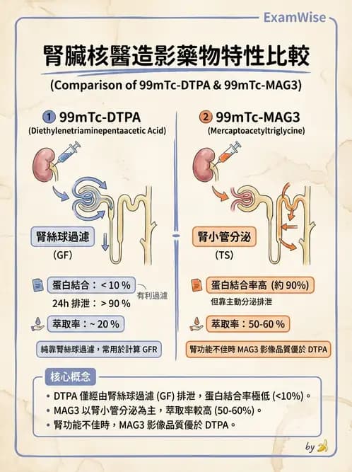 放射 - 腎臟造影SPECT藥物 - AI 圖文解析預覽