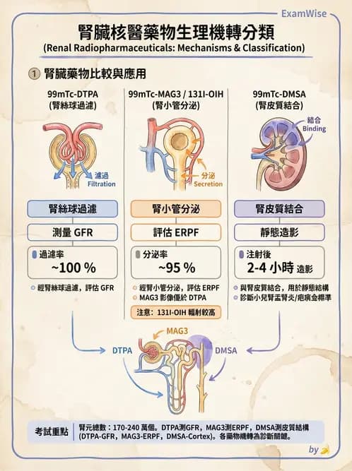 放射 - 腎臟造影SPECT藥物 - AI 圖文解析預覽
