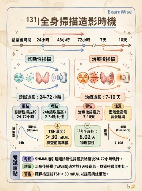 放射 - 甲狀腺造影 - AI 圖文解析預覽