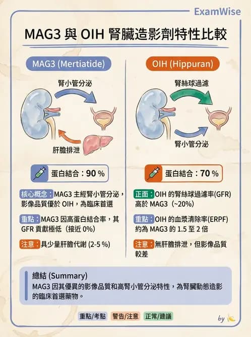 放射 - 腎臟造影SPECT藥物 - AI 圖文解析預覽