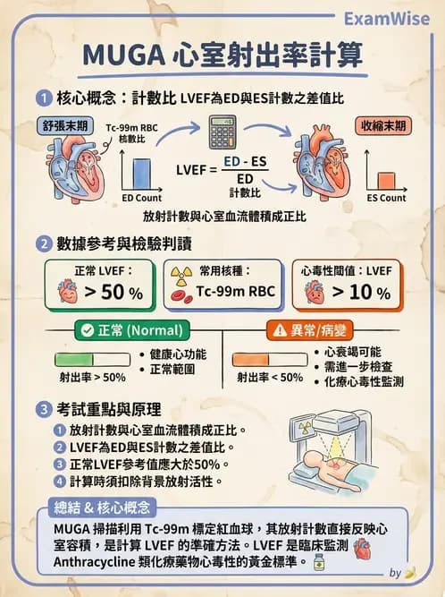 放射 - 心室功能造影 - AI 圖文解析預覽
