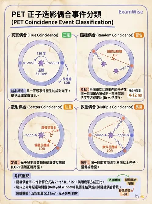 放射 - PET造影原理與重組 - AI 圖文解析預覽