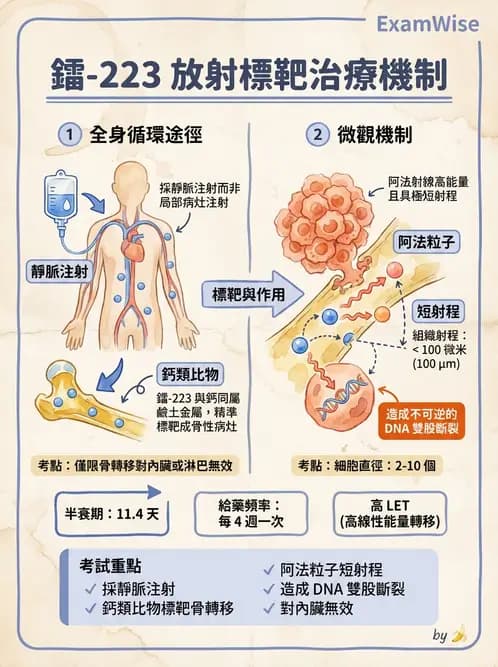 放射 - 腫瘤治療 - AI 圖文解析預覽