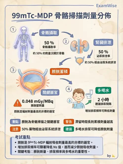 放射 - 體內吸收劑量 - AI 圖文解析預覽