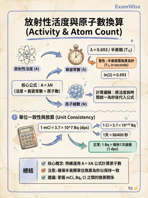放射 - 蛻變類型與計算 - AI 圖文解析預覽