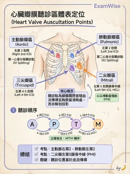 放射 - 心臟 - AI 圖文解析預覽