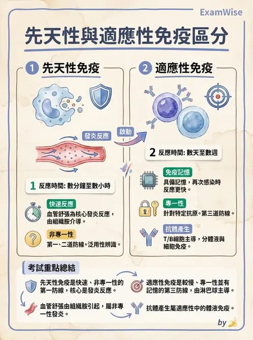 放射 - 血液及免疫生理 - AI 圖文解析預覽