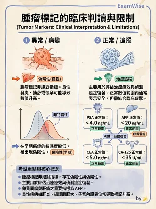 放射 - 惡性腫瘤 - AI 圖文解析預覽