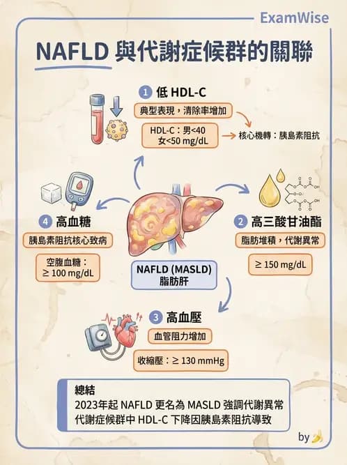 放射 - 肝臟、膽道及胰臟疾病 - AI 圖文解析預覽