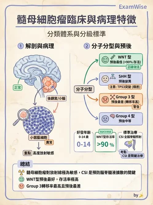 放射 - 神經系統疾病 - AI 圖文解析預覽