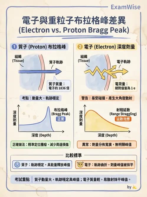 放射 - 帶電粒子與中子和物質作用 - AI 圖文解析預覽