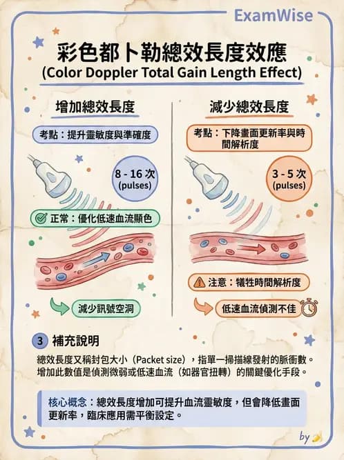 放射 - 超音波成像與都卜勒 - AI 圖文解析預覽