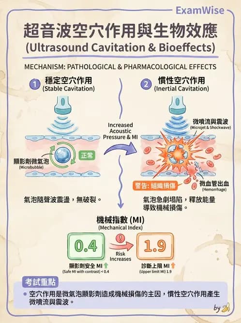 放射 - 超音波物理與換能器 - AI 圖文解析預覽