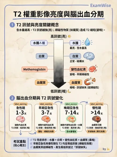 放射 - 脈衝序列與影像對比 - AI 圖文解析預覽