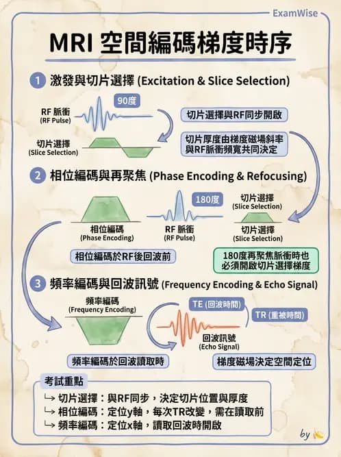 放射 - 空間編碼與影像品質 - AI 圖文解析預覽
